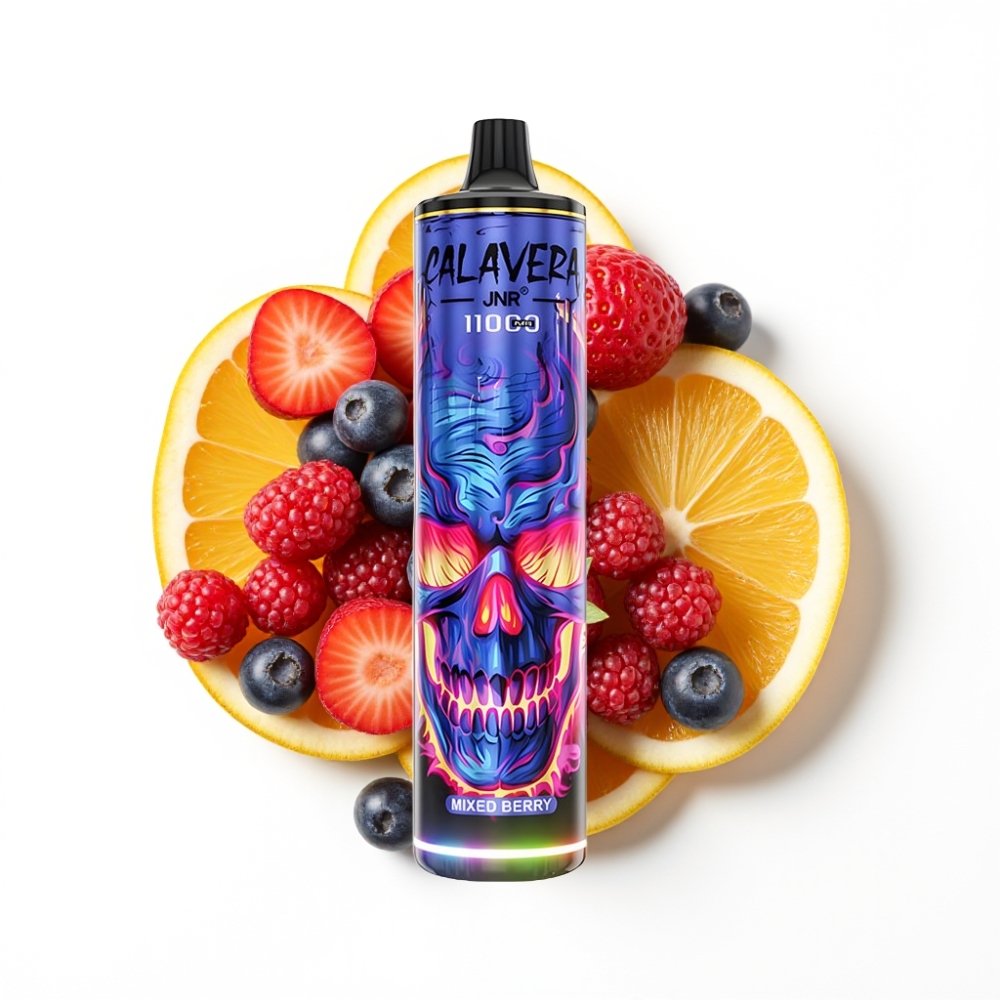 JNR Calavera 11000 Puffs Disposable Vape Baies Mixtes avec Port Type-C et Batterie 850 mAh