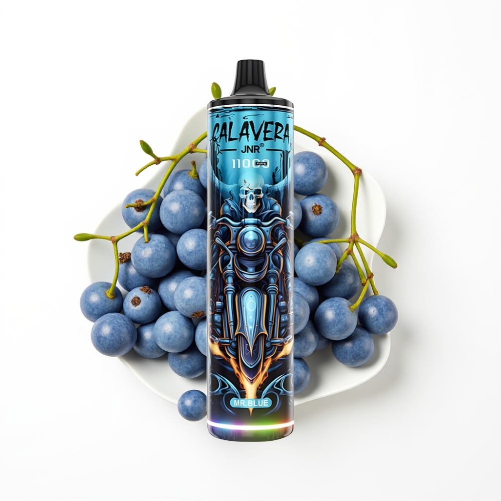 JNR Calavera 11000 Puffs Disposable Vape Monsieur Bleu avec Port Type-C et Batterie 850 mAh