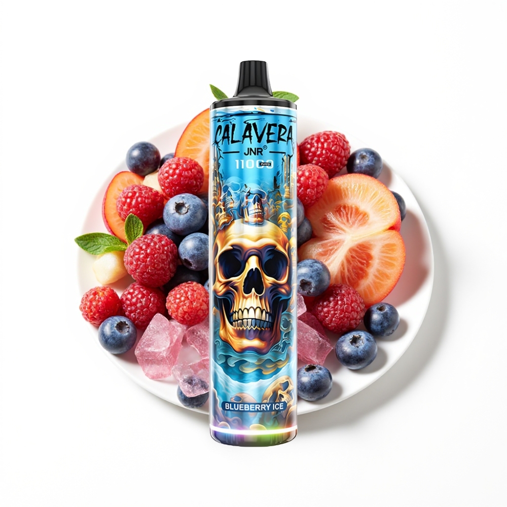 JNR Calavera 11000 Puffs Disposable Vape Myrtille Glacé avec Port Type-C et 850 mAh