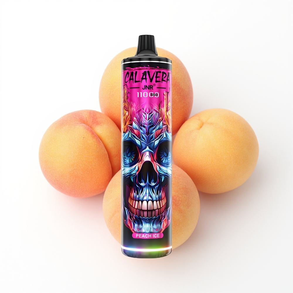 JNR Calavera 11000 Puffs Disposable Vape Pêche Glacée avec Port Type-C et 21ml