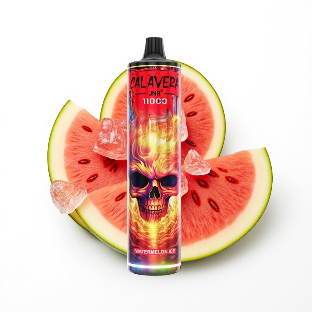 JNR Calavera 11000 Puffs Disposable Vape Pastèque Glacée avec Port Type-C et Batterie 850 mAh