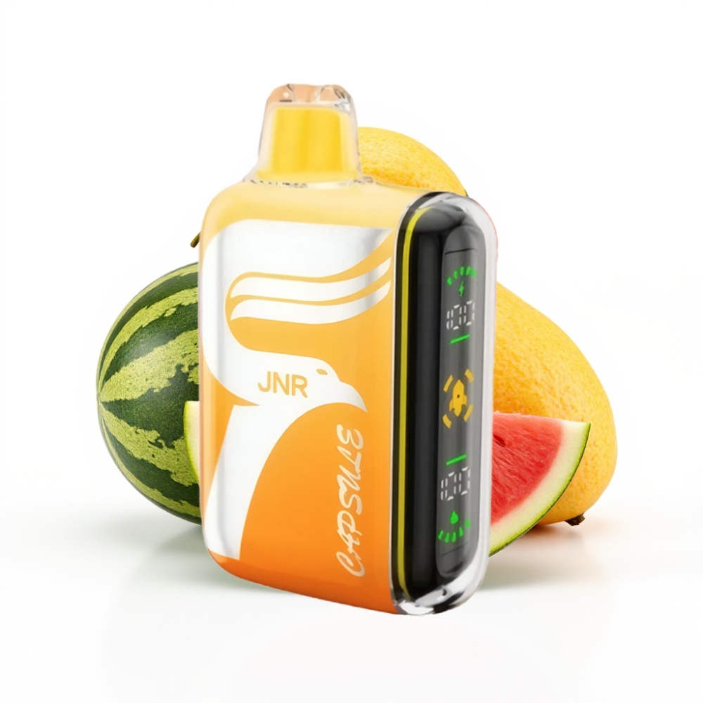 JNR Capsule 15000 Puffs Pastèque Irchee avec Charge Rapide Type-C et Affichage LED Intelligent