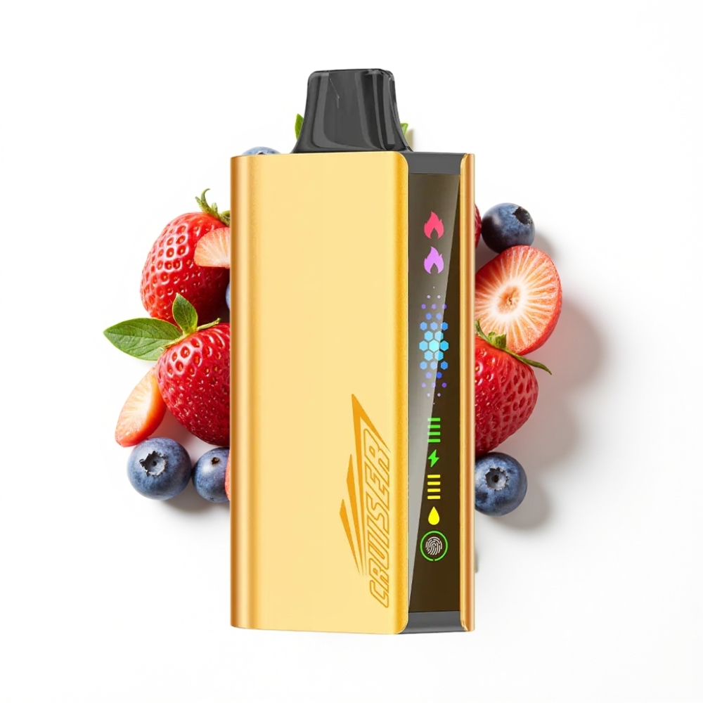 JNR Cruiser 12000 Puffs No-Charge Disposable Vape Explosion de Myrtille avec Batterie 3500 mAh et Écran Animé
