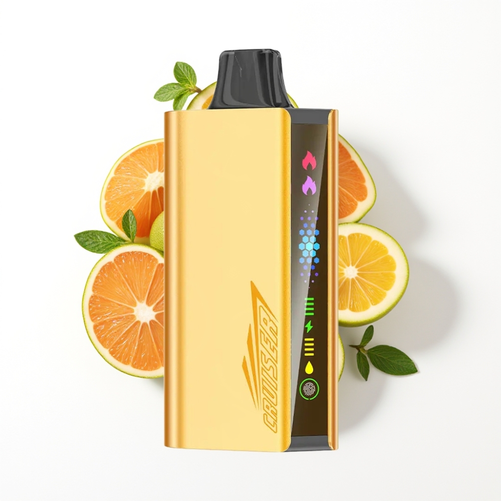 JNR Cruiser 12000 Puffs Sans Recharge Vape Jetable Menthe Fraîche avec Écran Animé et Batterie 3500 mAh