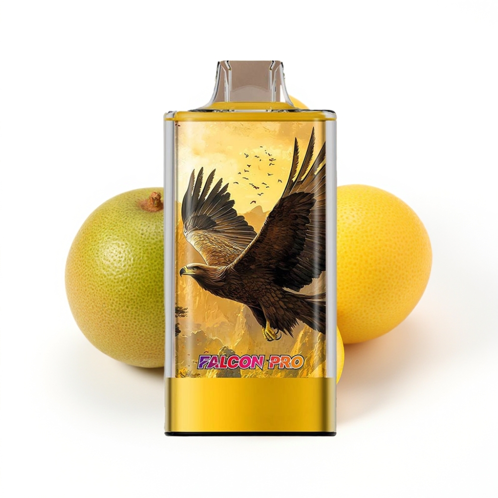 JNR Falcon Pro 28000 Vape Jetable Kiwi Passion Goyave avec Affichage Intelligent et USB Type-C
