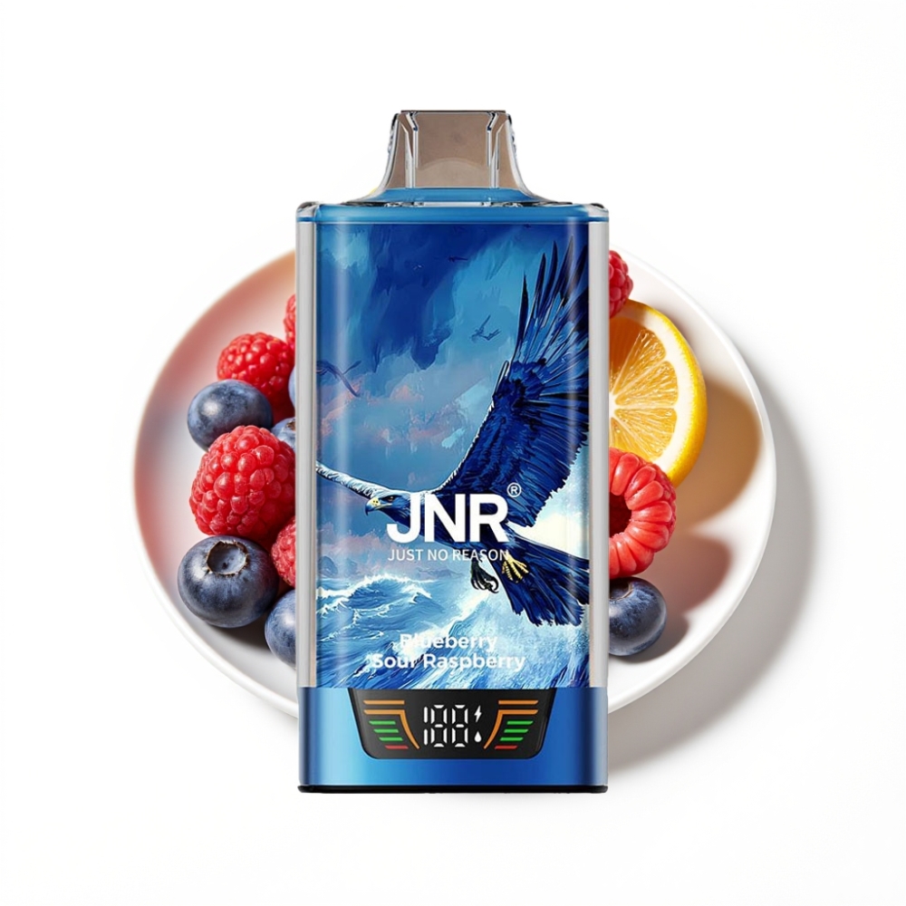 JNR Falcon Pro 28000 Vape Jetable Myrtille Framboise Acidulée avec Affichage Intelligent et USB Type-C