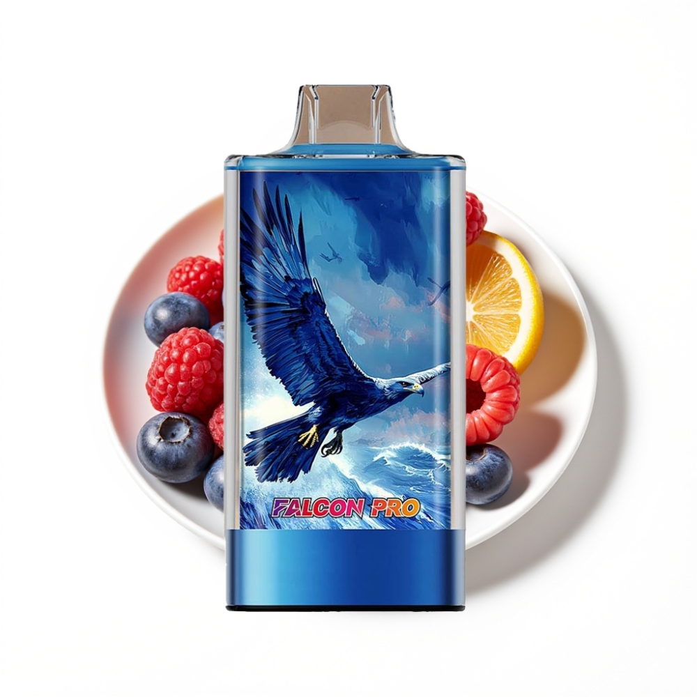 JNR Falcon Pro 28000 Vape Jetable Myrtille Framboise Acidulée avec Affichage Intelligent et USB Type-C