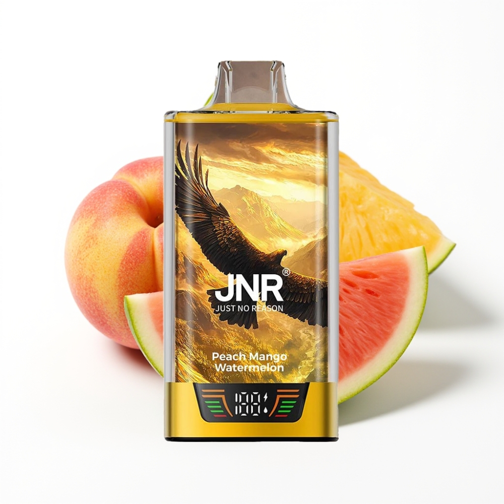 JNR Falcon Pro 28000 Vape Jetable Pêche Mangue Pastèque avec Affichage Intelligent et Double Bobine Mesh