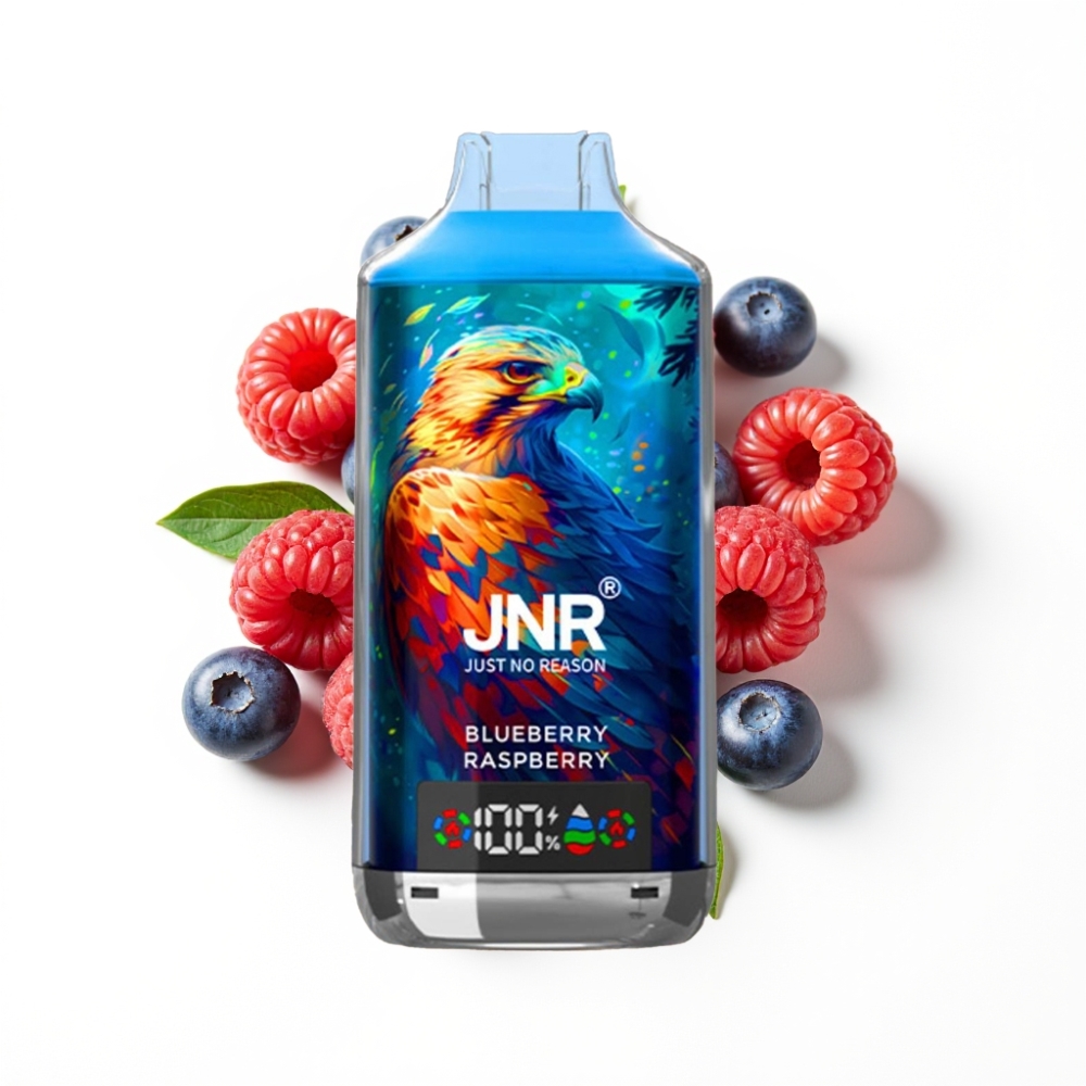 JNR Falcon X 18000 Puffs Disposable Vape Myrtille Framboise avec 24ml et Charge Rapide Type-C