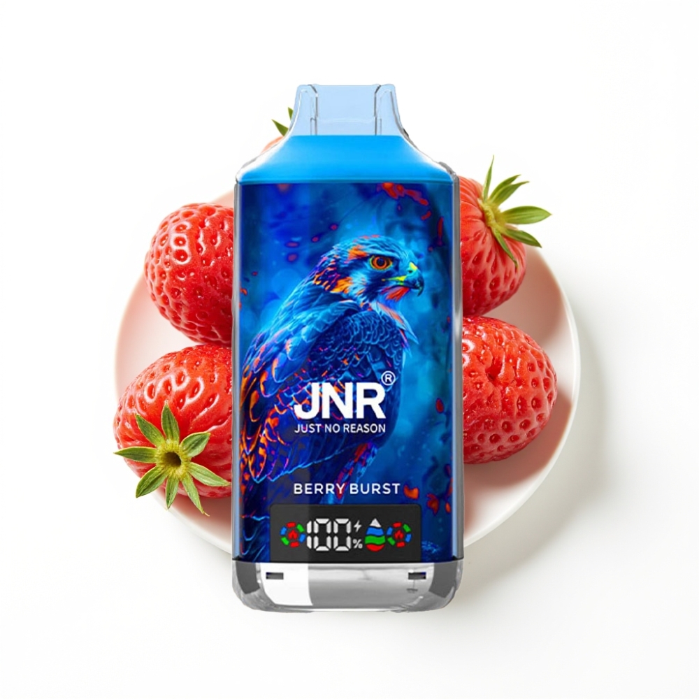 JNR Falcon X 18000 Puffs Disposable Vape Éclat de Baies avec 24ml et Charge Rapide Type-C