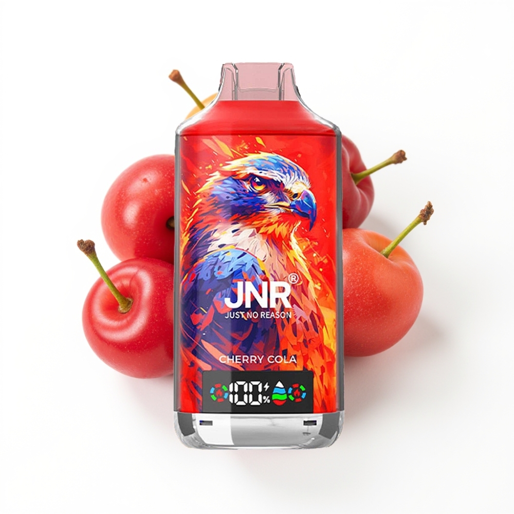 JNR Falcon X 18000 Puffs Vape Disposable Cerise Raison avec écran numérique et recharge rapide Type-C