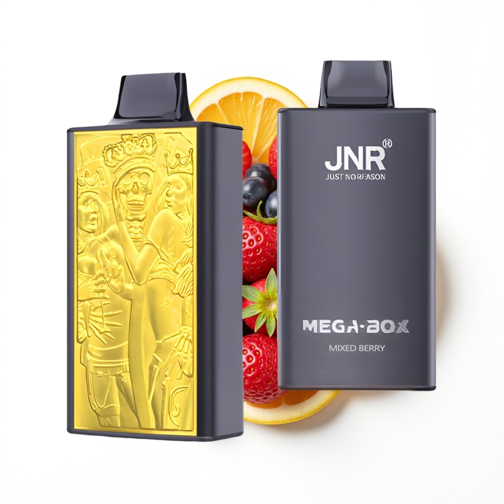 JNR Mega Box 25000 Puffs Disposable Vape Baies Mixtes avec Charge Rapide Type-C et Double Mesh