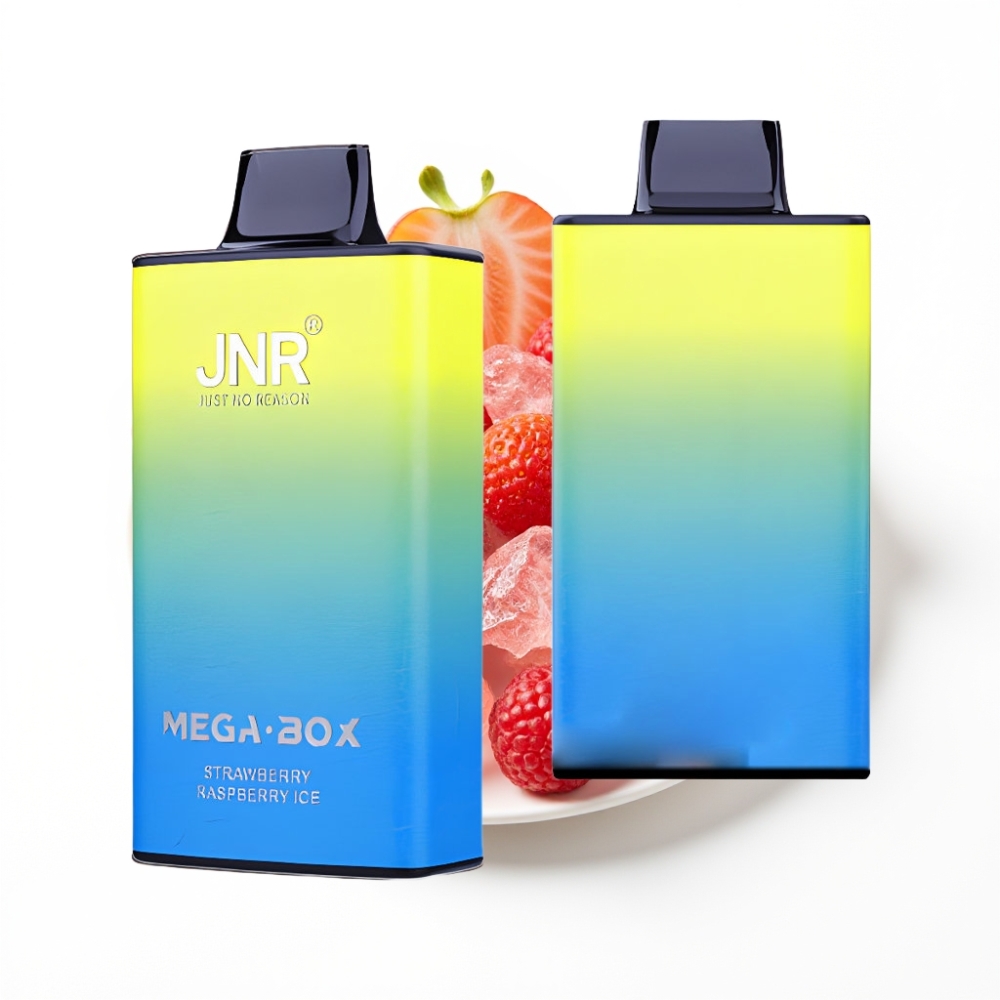 JNR Mega Box 25000 Puffs Disposable Vape Fraise Framboise Glace avec Charge Rapide Type-C et Double Bobine Mesh
