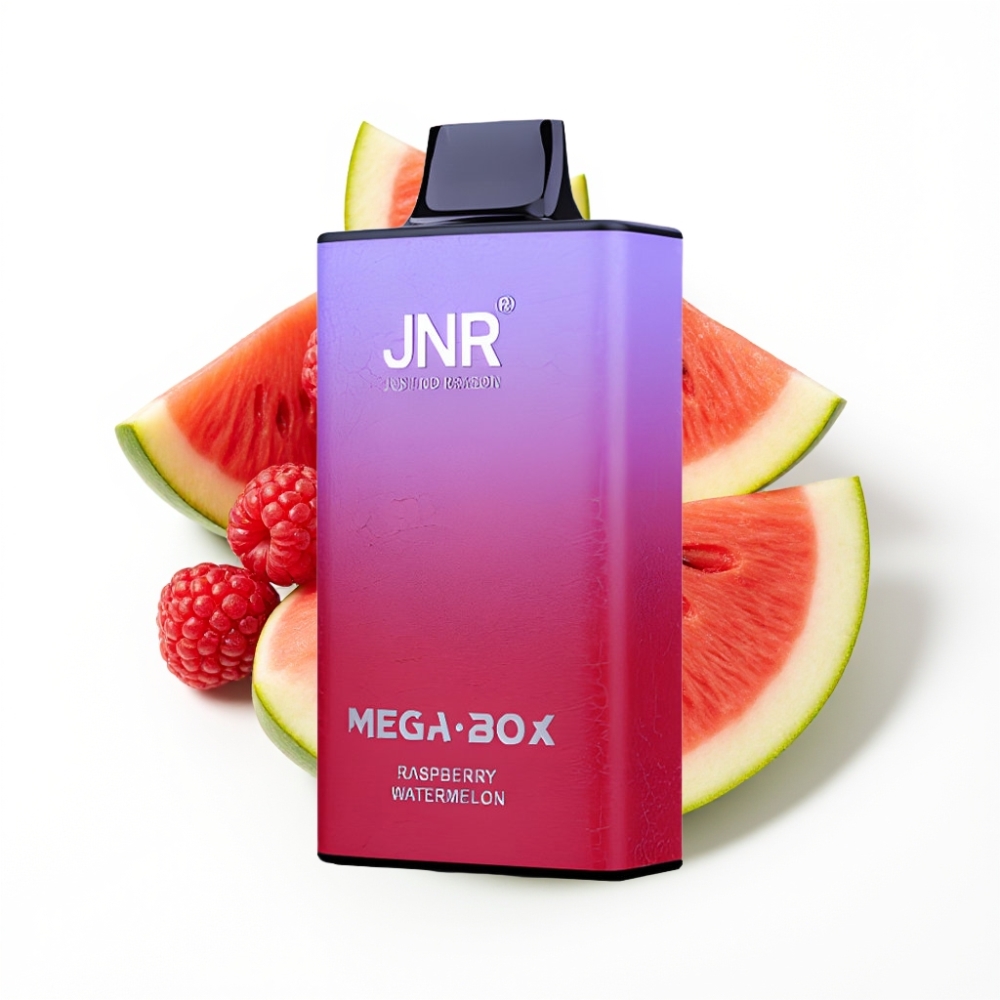 JNR Mega Box 25000 Puffs Disposable Vape Framboise Pastèque avec 30ml et Charge Rapide Type-C