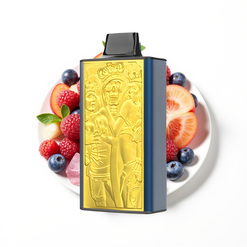 JNR Mega Box 25000 Puffs Disposable Vape Glace Myrtille avec Charge Rapide Type-C et Double Bobine