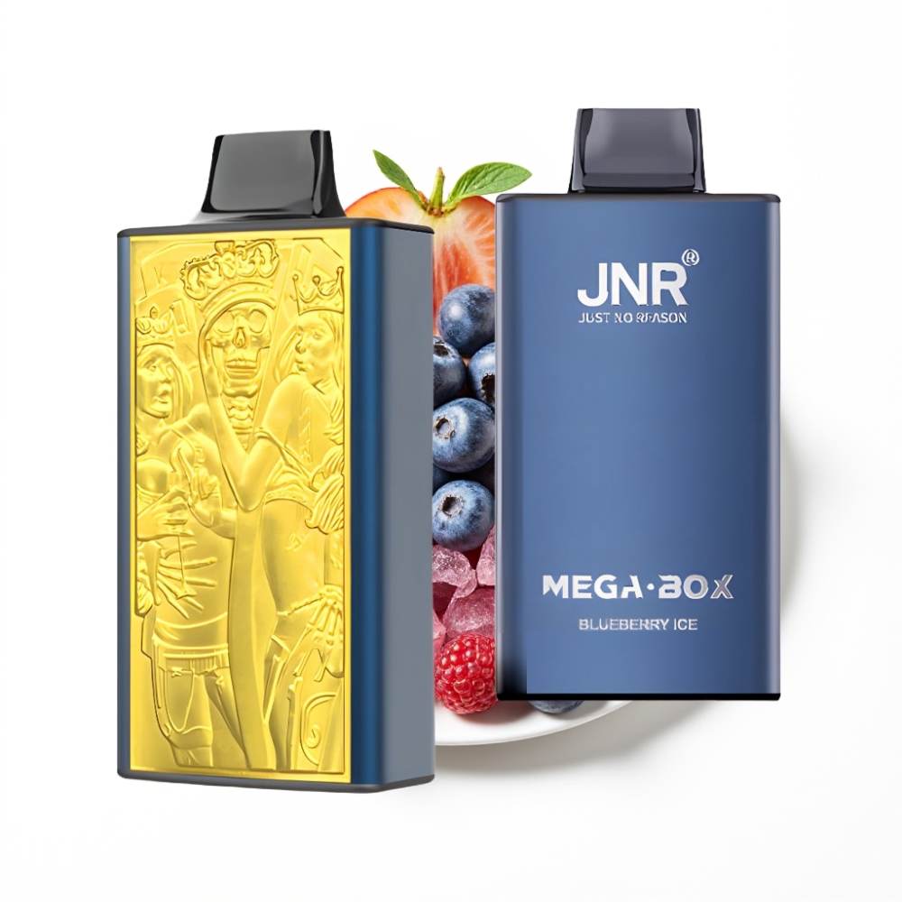 JNR Mega Box 25000 Puffs Disposable Vape Glace Myrtille avec Charge Rapide Type-C et Double Bobine