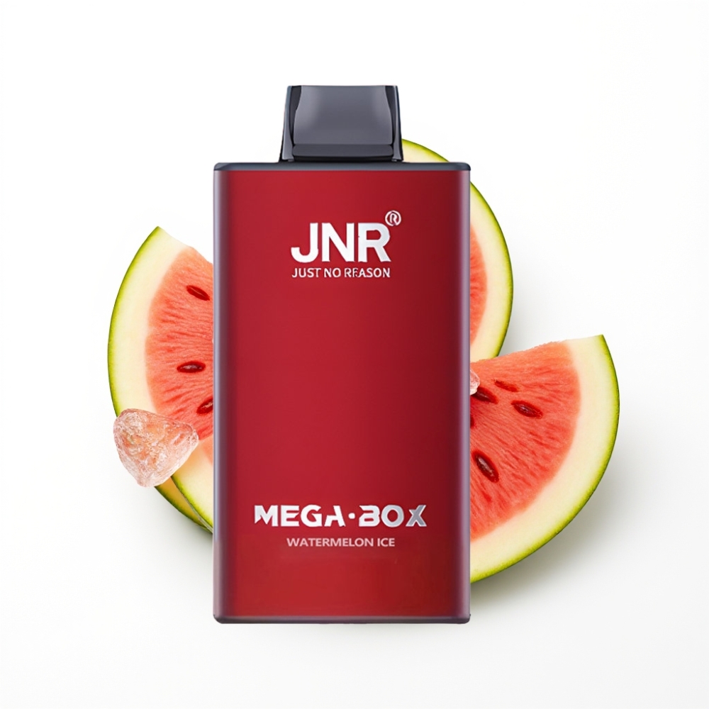 JNR Mega Box 25000 Puffs Disposable Vape Glace Pastèque avec 30ml E-liquide et Charge Rapide Type-C