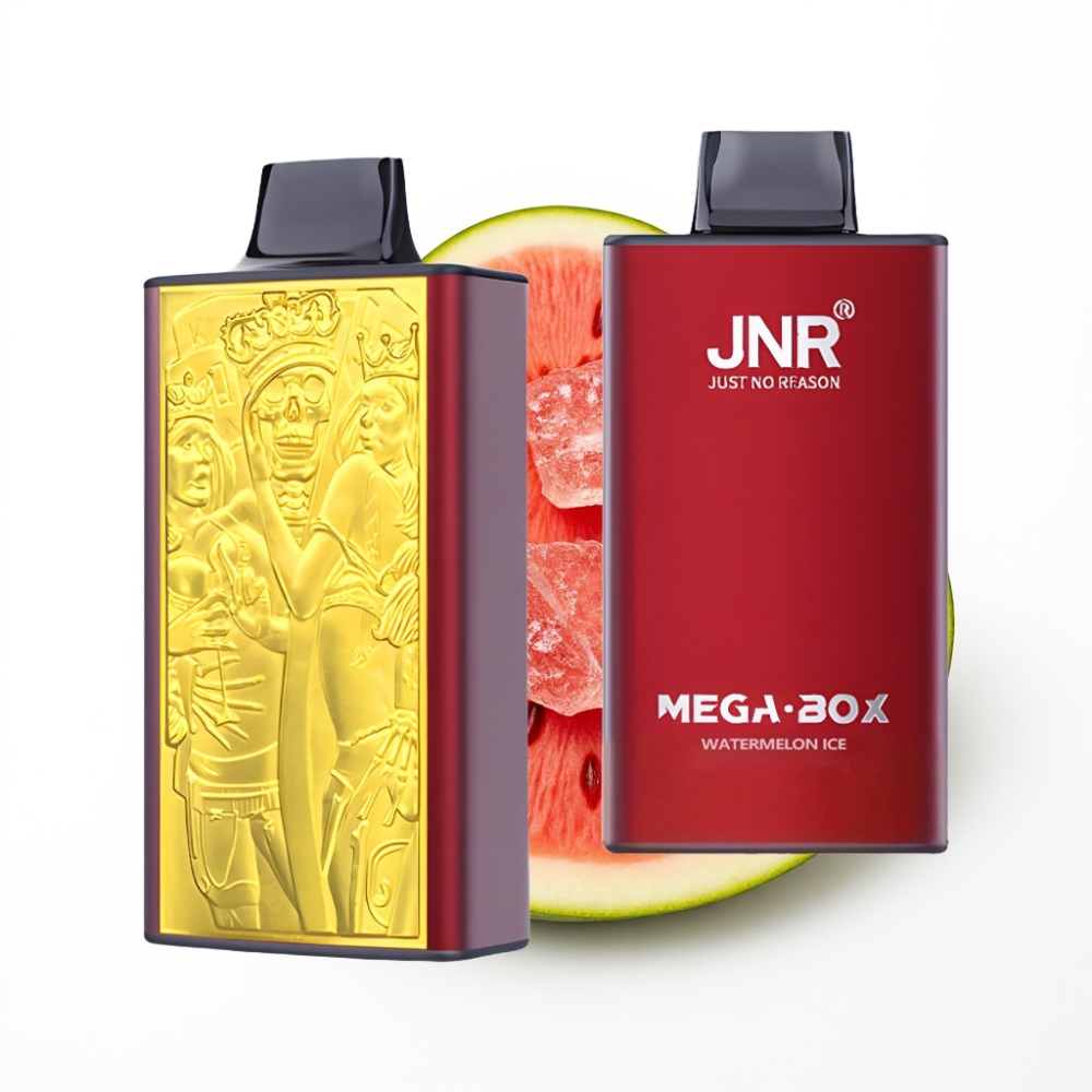 JNR Mega Box 25000 Puffs Disposable Vape Glace Pastèque avec 30ml E-liquide et Charge Rapide Type-C