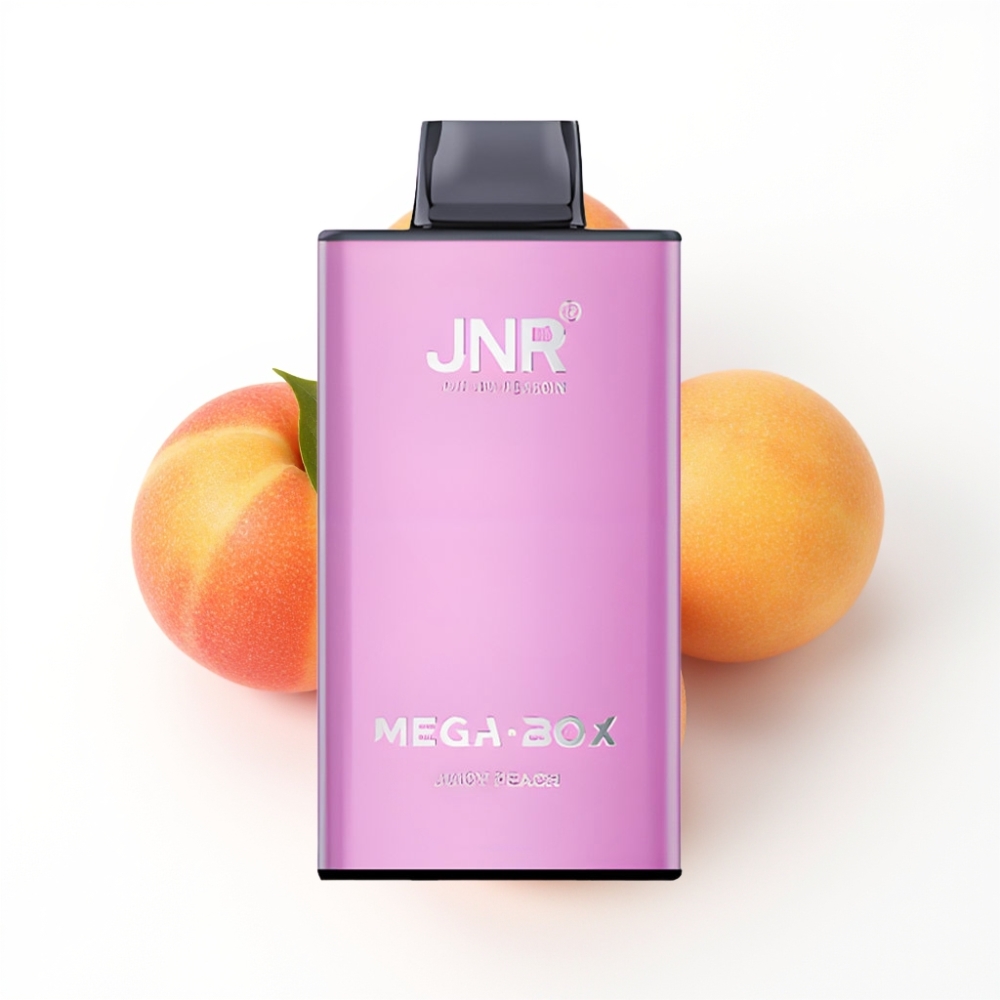 JNR Mega Box 25000 Puffs Disposable Vape Pêche Juteuse avec 30ml et Charge Rapide Type-C