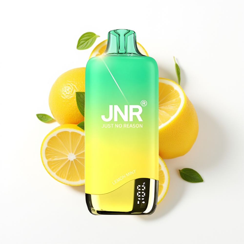 JNR Rainbow 10500 Puffs Disposable Vape Citron Menthe avec 18ml Réservoir et USB Type-C