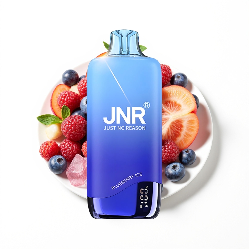 JNR Rainbow 10500 Puffs Disposable Vape Myrtille Glace avec 18ml Réservoir et USB Type-C