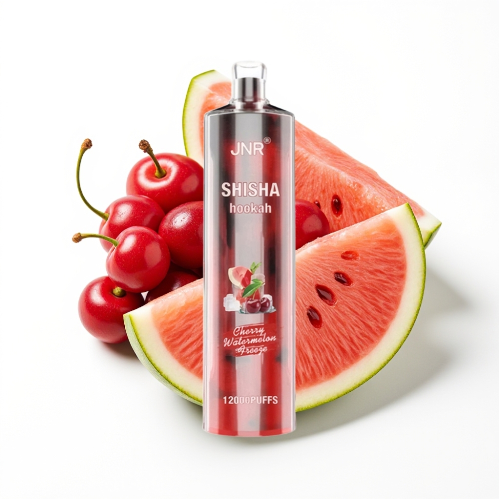 JNR Shisha Hookah 12000 Puffs Disposable Vape Cerise Pastèque Glacée avec 24ml et Charge Rapide Type-C
