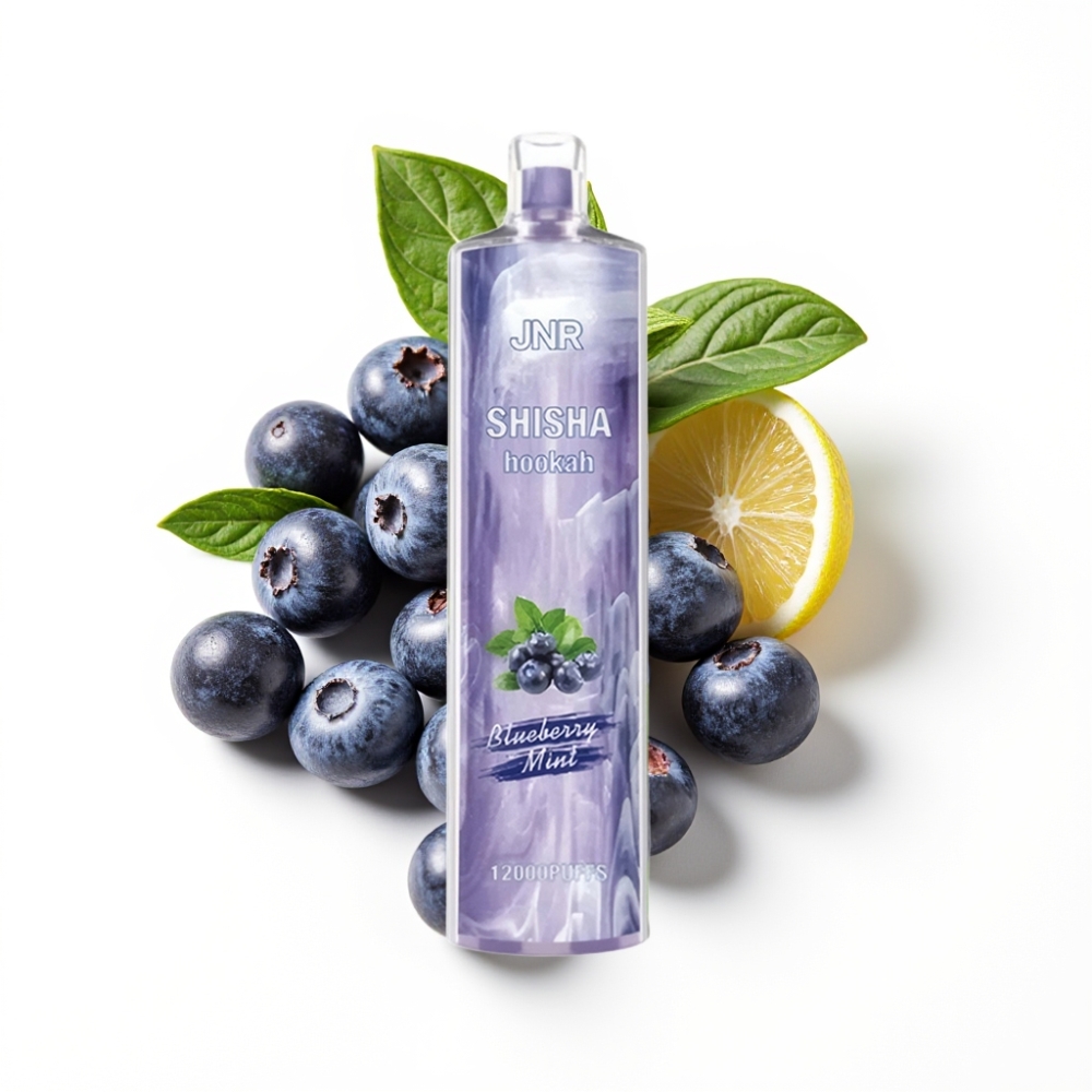 JNR Shisha Hookah 12000 Puffs Disposable Vape Myrtille Menthe avec 24ml et Type-C