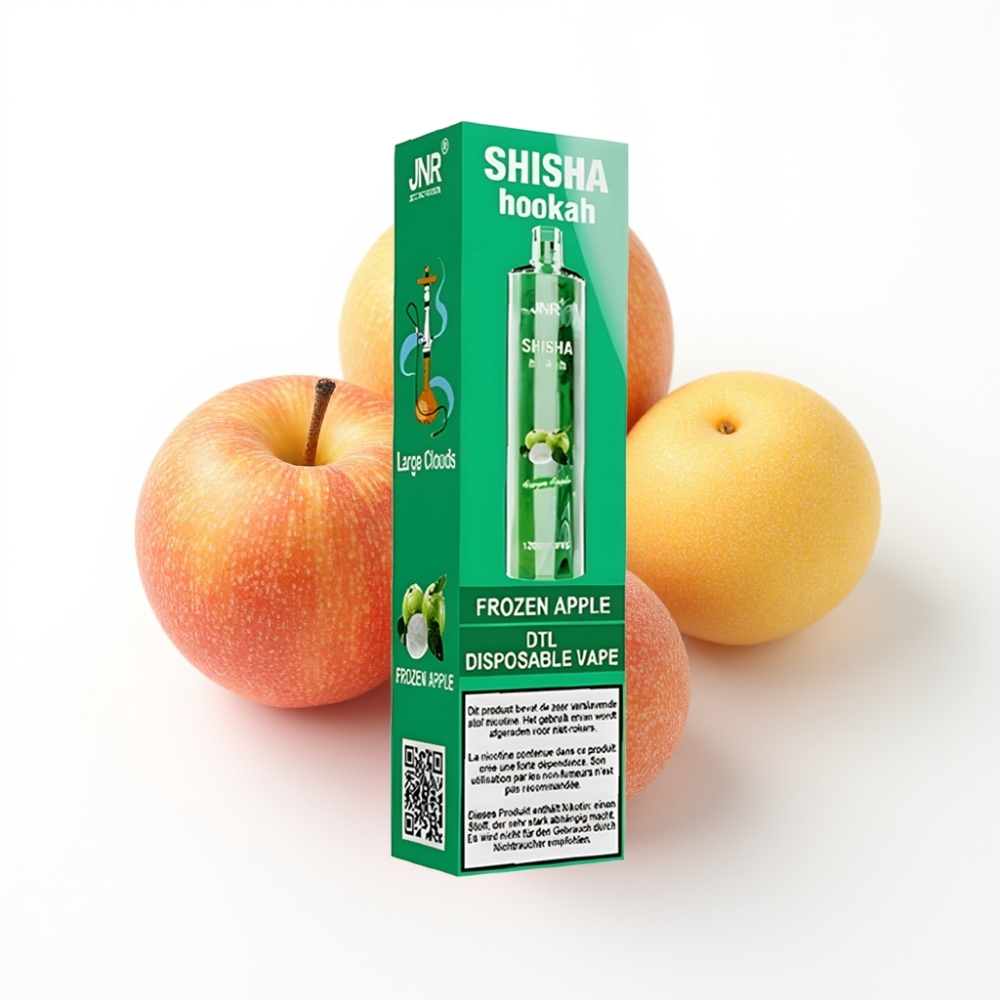 JNR Shisha Hookah 12000 Puffs Disposable Vape Pomme Glacée avec 24ml et Type-C