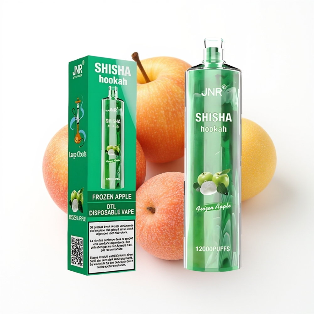 JNR Shisha Hookah 12000 Puffs Disposable Vape Pomme Glacée avec 24ml et Type-C