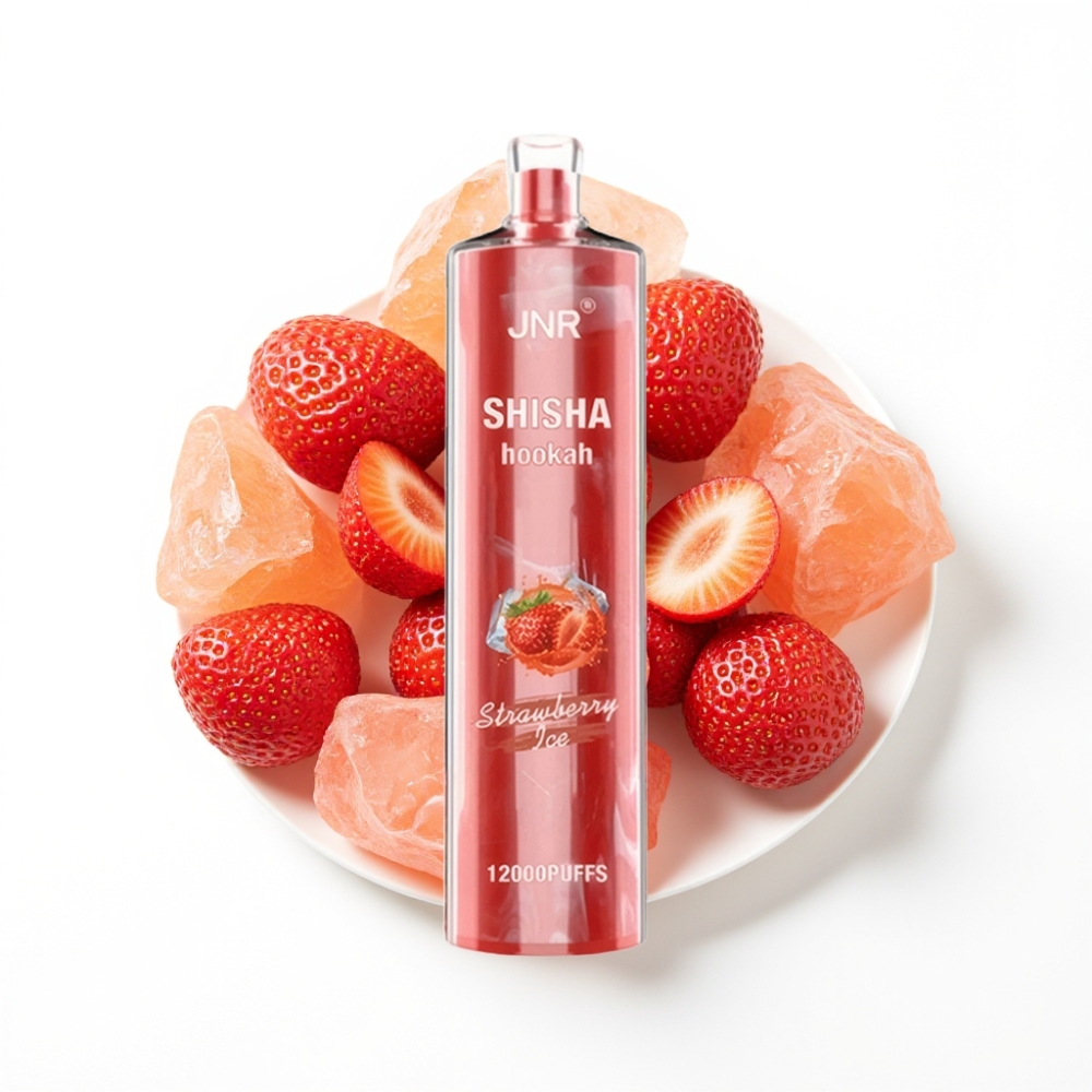JNR Shisha Hookah 12000 Puffs Vape Disposable Fraise Glacée 24ml 750mAh