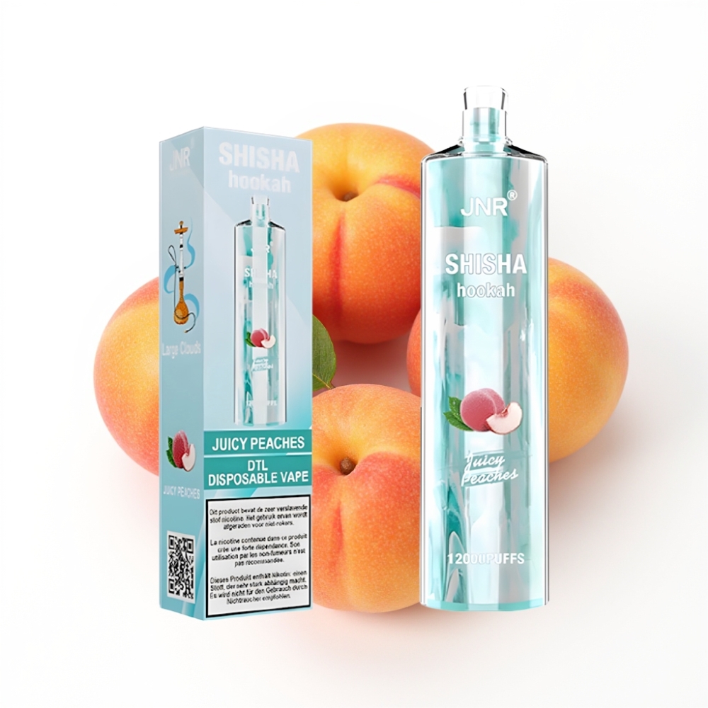 JNR Shisha Hookah 12000 Puffs Vape Disposable Pêches Juteuses avec 24ml et Type-C