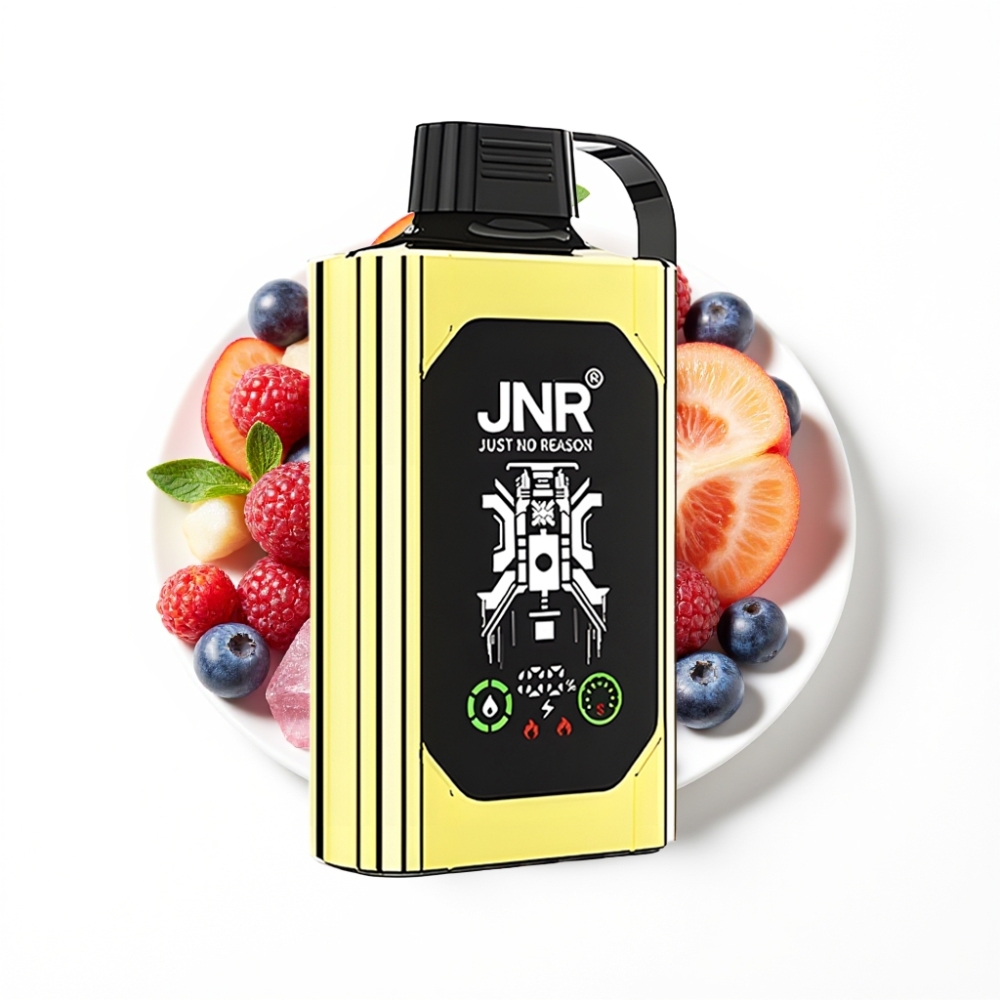 JNR Shisha Hookah Box 20500 Puffs Disposable Vape Glace Myrtille et Type-C Charge Rapide