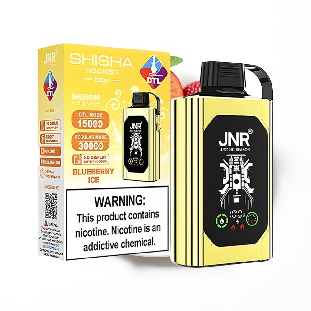 JNR Shisha Hookah Box 20500 Puffs Disposable Vape Glace Myrtille et Type-C Charge Rapide