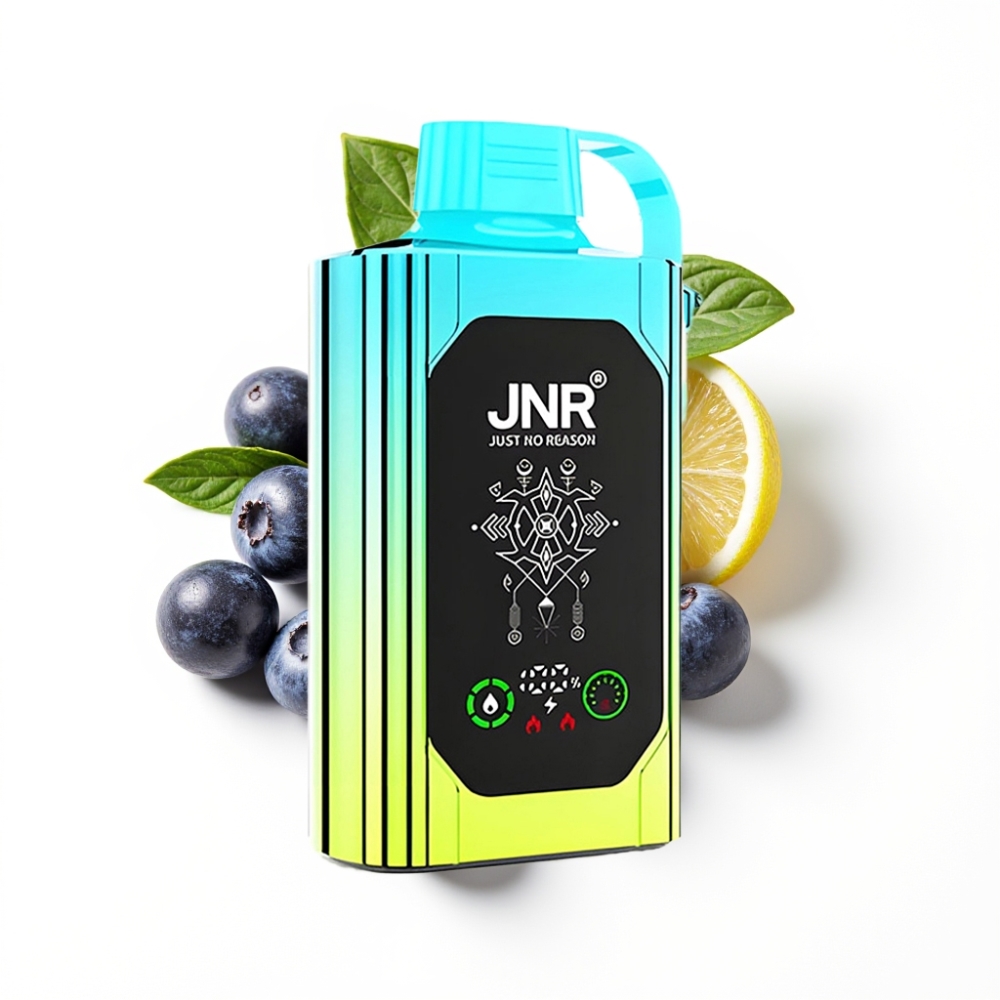 JNR Shisha Hookah Box 20500 Puffs Disposable Vape Myrtille Menthe Affichage HD Batterie 1000mAh