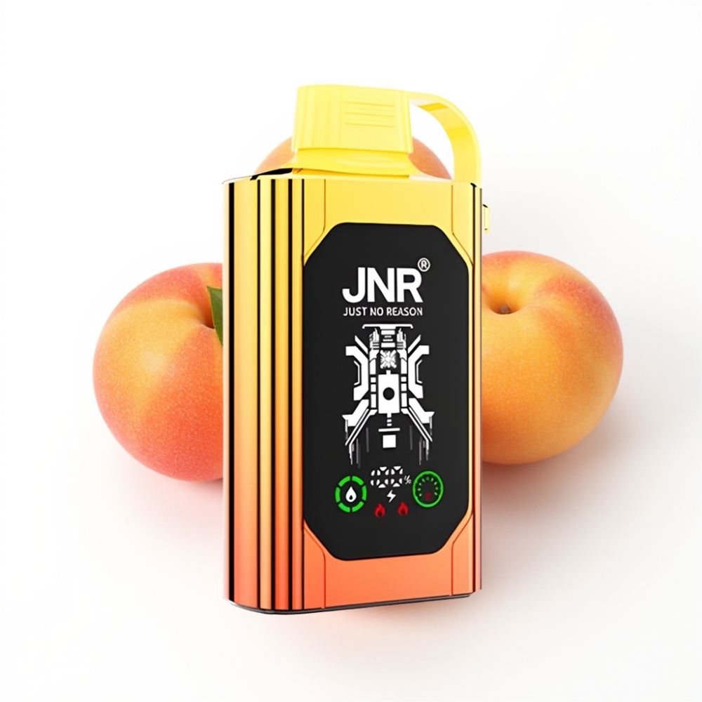 JNR Shisha Hookah Box 20500 Puffs Disposable Vape Pêches Juteuses avec Charge Rapide Type-C et Double Mesh Coil